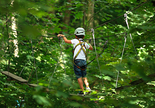 Parc accrobranches (Indian Forest) (15 min)